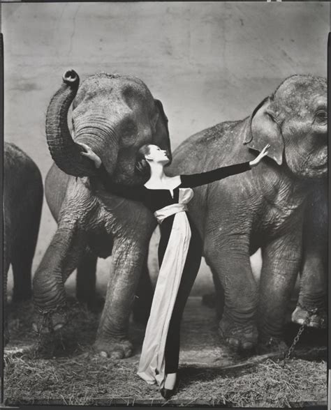 “Relationship”, the great Richard Avedon retrospective in Milan